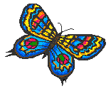 butterfly.gif