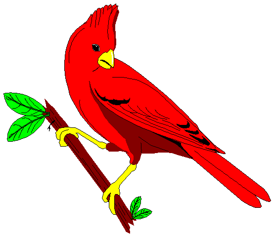 cardinal.gif