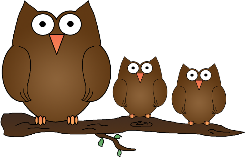 owls.png