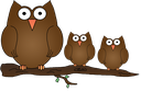 owls.png